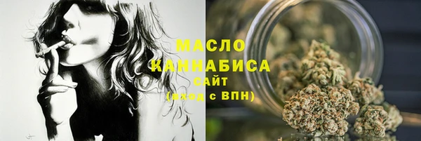 молекула духа Бородино