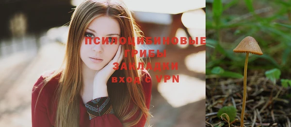 молекула духа Бородино