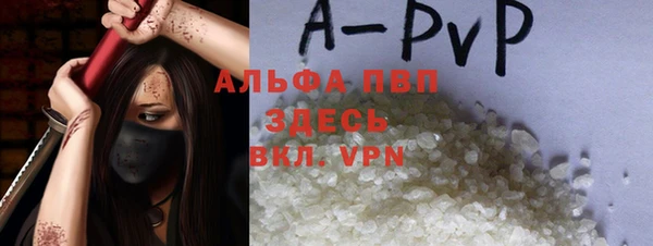 молекула духа Бородино