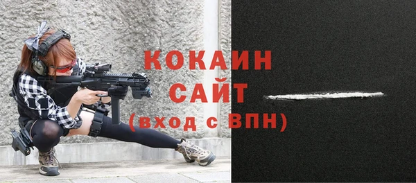 прущие грибы Чита